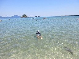 IMG_2217.jpg