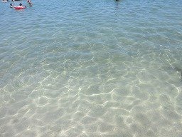 IMG_2218.jpg