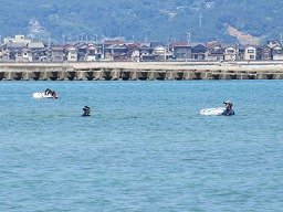 IMG_2221.jpg