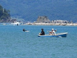 IMG_2222.jpg