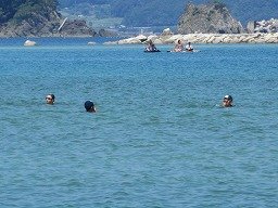 IMG_2223.jpg