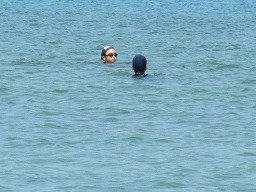 IMG_2224.jpg