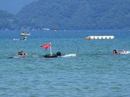 IMG_2228.jpg