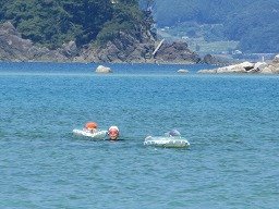 IMG_2229.jpg