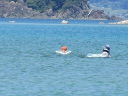 IMG_2230.jpg