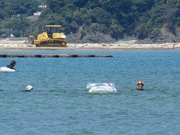 IMG_2231.jpg