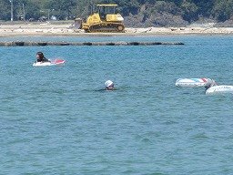 IMG_2232.jpg