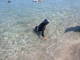 IMG_2233.jpg
