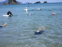 IMG_2244.jpg