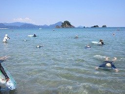 IMG_2249.jpg