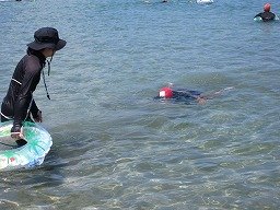 IMG_2252.jpg