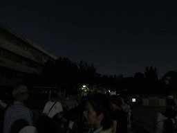 IMG_2316.jpg