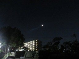 IMG_2317.jpg