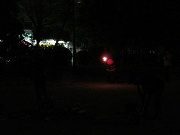 IMG_2326.jpg