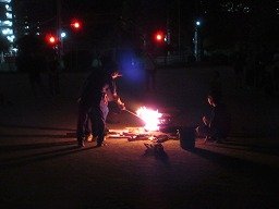 IMG_2329.jpg