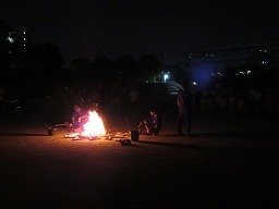 IMG_2336.jpg