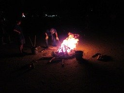 IMG_2342.jpg