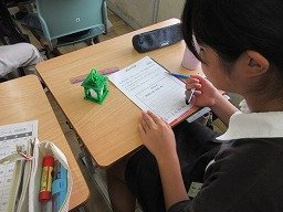 IMG_2417.jpg
