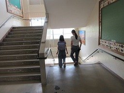 IMG_2445.jpg