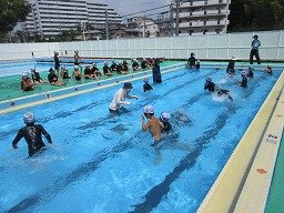 IMG_2453.jpg