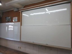 IMG_2458.jpg