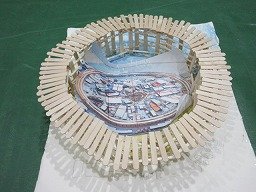 IMG_2489.jpg