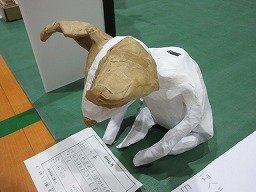 IMG_2494.jpg
