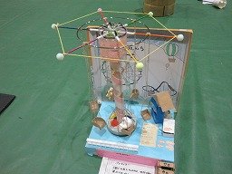 IMG_2498.jpg