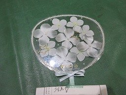 IMG_2507.jpg