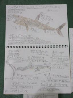IMG_2528.JPG