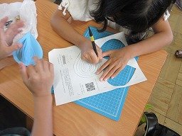 IMG_2623.jpg