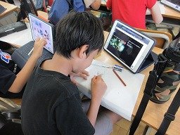IMG_2626.jpg