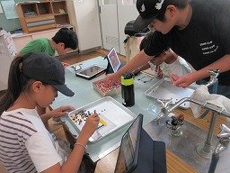 IMG_2646.jpg