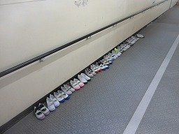 IMG_2650.jpg