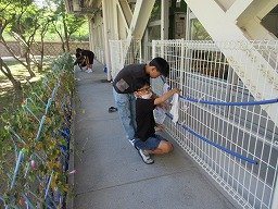 IMG_2660.jpg