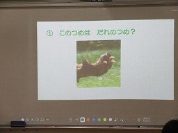 IMG_2666.jpg
