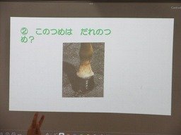 IMG_2670.jpg