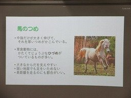 IMG_2678.jpg