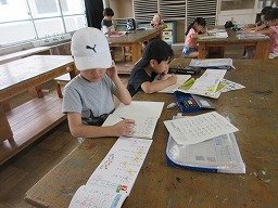 IMG_2723.jpg