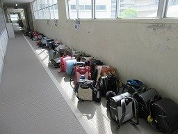 IMG_2736.jpg