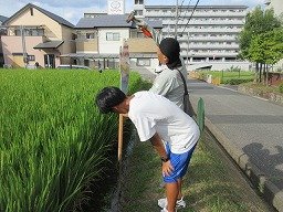 IMG_2747.jpg