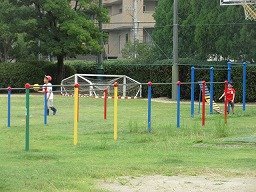 IMG_2751.jpg