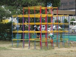 IMG_2753.jpg