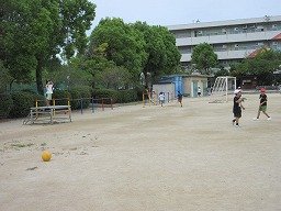 IMG_2757.jpg