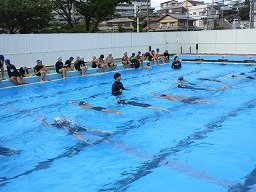 IMG_2795.jpg