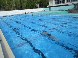 IMG_2797.jpg
