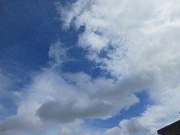 IMG_2800.jpg