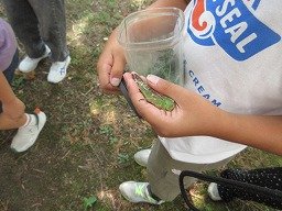 IMG_2806.jpg