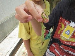 IMG_2807.jpg