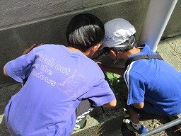 IMG_2808.jpg